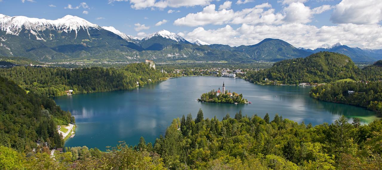 Vila Lipa Bled Exteriör bild
