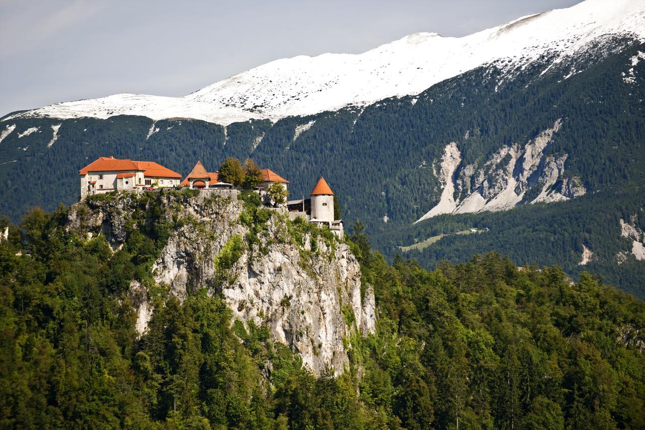 Vila Lipa Bled Exteriör bild